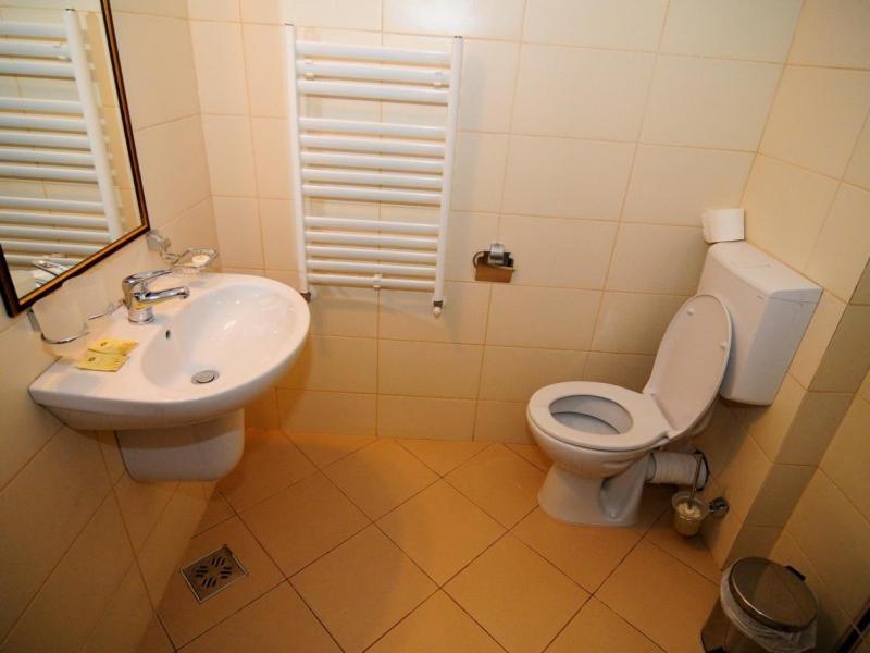 Hotel Termal Geoagiu Băi Eksteriør billede
