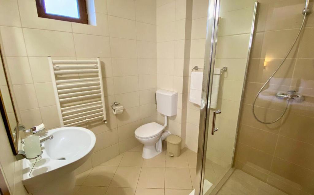Hotel Termal Geoagiu Băi Eksteriør billede