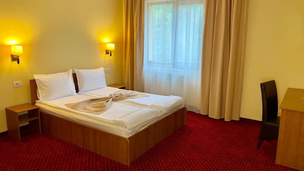 Hotel Termal Geoagiu Băi Eksteriør billede