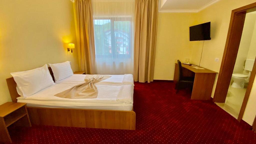 Hotel Termal Geoagiu Băi Eksteriør billede
